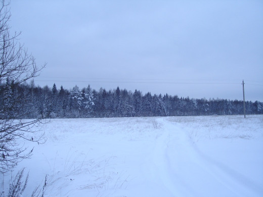 23667 (a): :1024x768